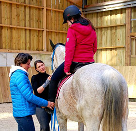 50-ans-activites-equestre.jpg