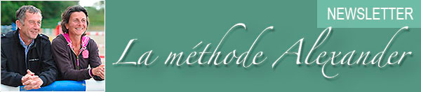 entete-newsletter.jpg