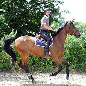 monter-lourd-leger.jpg