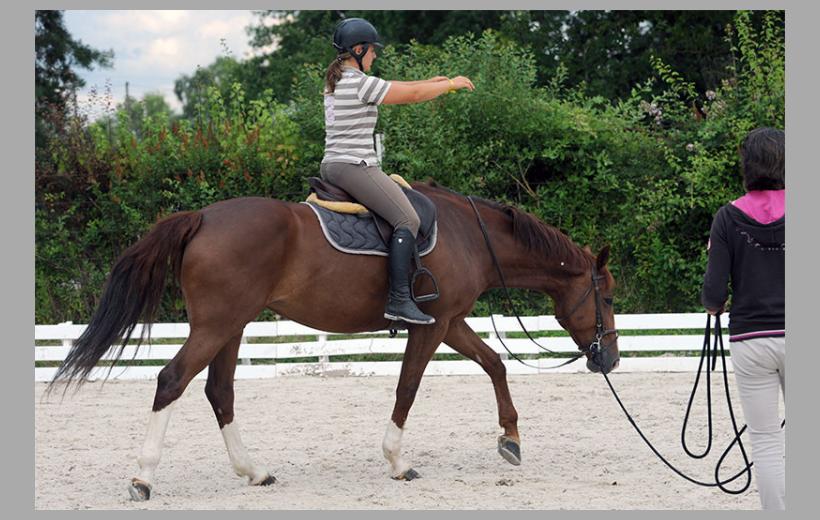 Méthode alexander equitation clearance